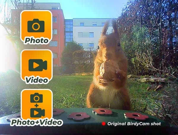 BirdyCam fuglehus med kamera
