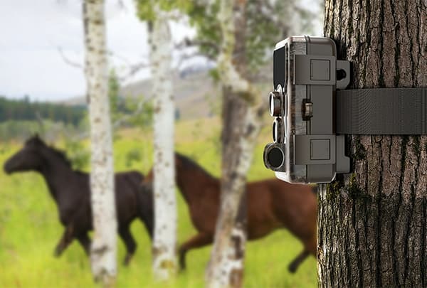 SJCAM M50 METSÄSYSKAMERA KAMERA TRAP IP65 24M HD