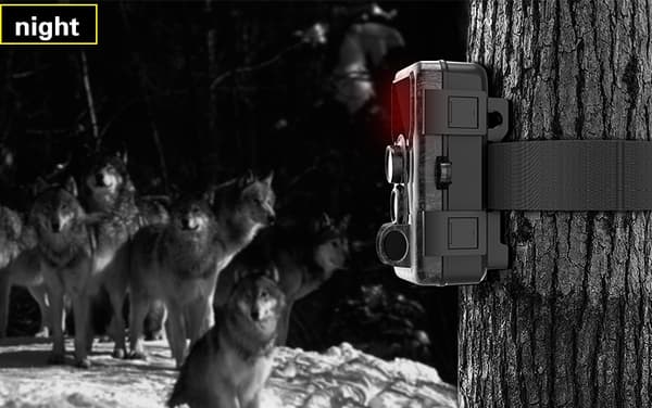 SJCAM M50 METSÄSYSKAMERA KAMERA TRAP IP65 24M HD