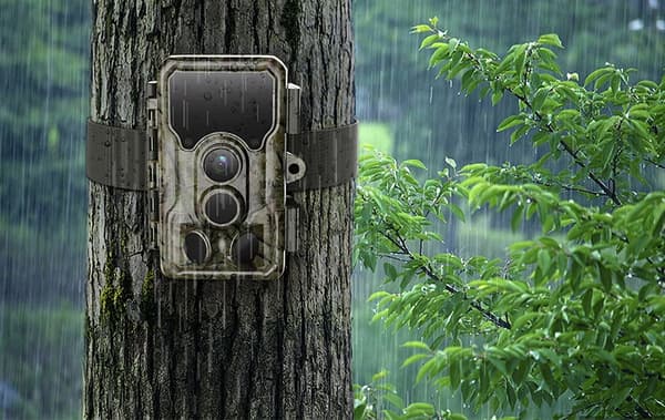SJCAM M50 METSÄSYSKAMERA KAMERA TRAP IP65 24M HD