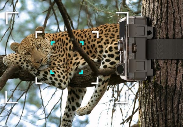 SJCAM M50 JAGKAMERA KAMERA FÆLDE IP65 24M HD