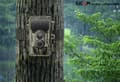 Pikkukuva 8 / 10: SJCAM M50 Woodland Green