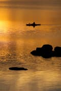 Miniatyrbild 9 av 10: Servicesats till multifuelbrännare Trangia Reservdelsset X2, till X2