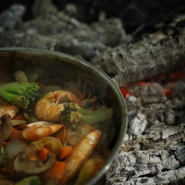 PRIMUS CAMPFIRE FRYING PAN STEINLESS STEEL 21 CM 738003