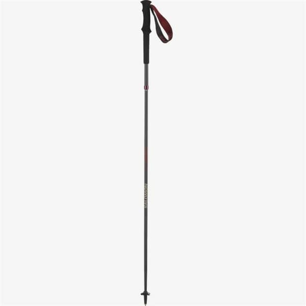 Sæt med 2 vandrestave Salomon Quest Carbon Foldable Sort 120 cm