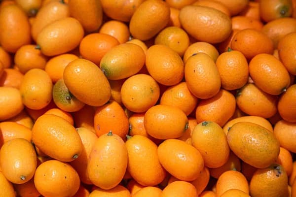 Gule frysetørrede kumquat-halvdele - 50 g Kumquat-frugt