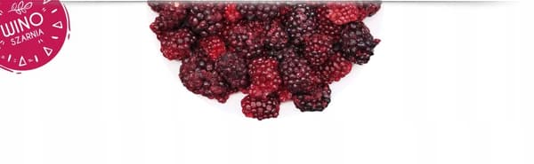 BLACKBERRY hel frystorkad frukt - 100g