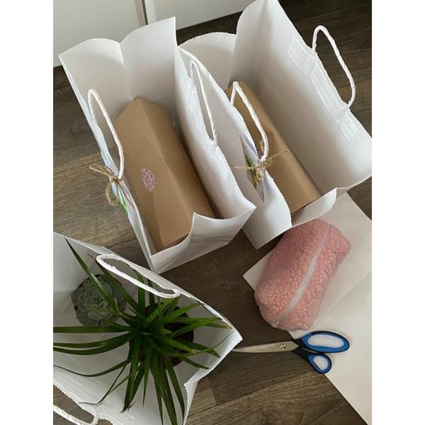 Papperskasse Algon Vit 20,6 x 11 x 27 cm 3 Delar (24 antal)