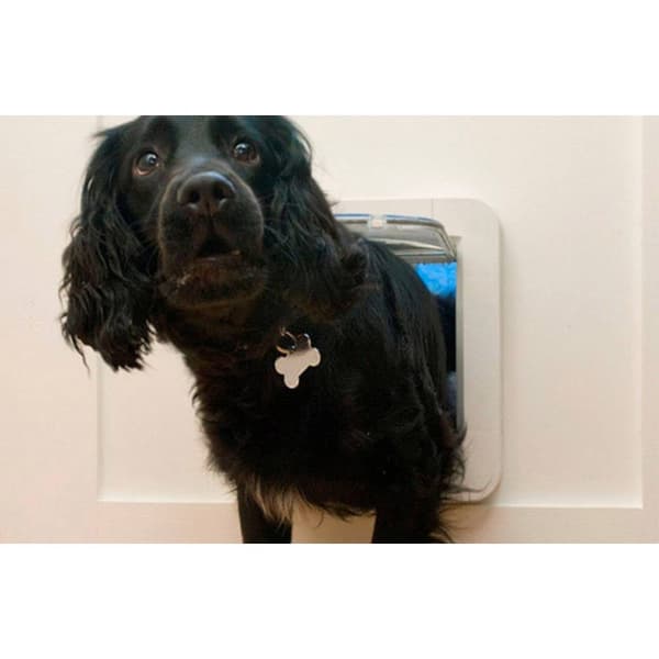 SureFlap Mikrochip Pet door Husdjurslucka Vit 1 st