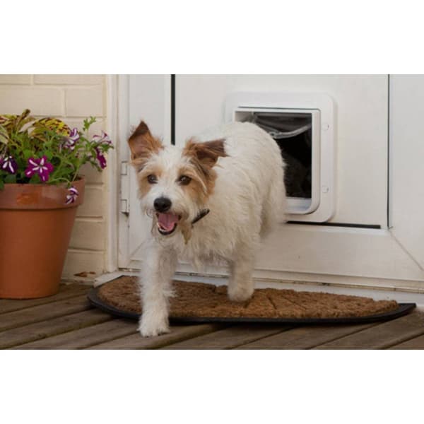 SureFlap Mikrochip Pet door Husdjurslucka Vit 1 st