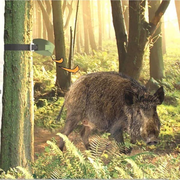 Berger & Schröter Hunting Alarm 31623 Djuralarm Trådlös