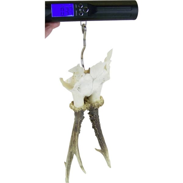 Berger & Schröter digital 50 kg 31928 Handvåg Digital
