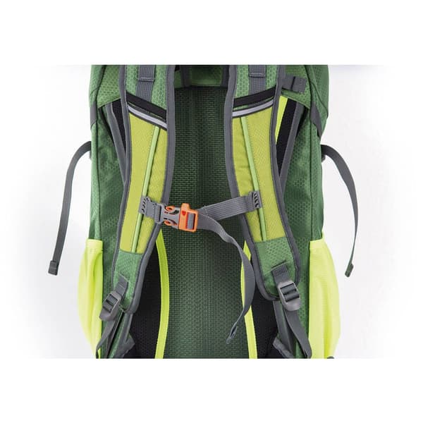 DÖRR Ryggsäck Outdoor Pro 32 32 l (L x B x H) 180 x 300 x 600 mm Grön 464015