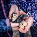 Miniatyrbild 3 av 3: Teddybjörnpilot - maskot, Mil-Tec nyckelring - en present till en pilot, en flygentusiast