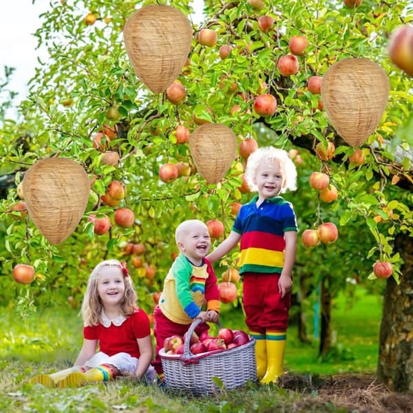 4 kpl ampiaispesävieheitä, herhiläispesä, roikkuva ampiaisansa kotiin ja puutarhaan, ulkokäyttöön