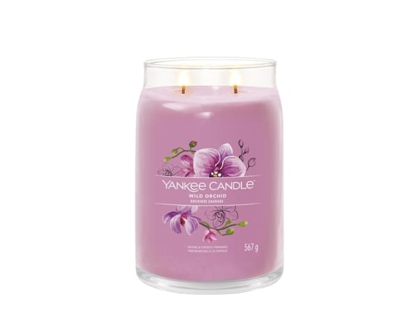 Yankee Candle Wild Orchid, Cylinder, Lilla, Orchide, 90 timer, 1 stykker
