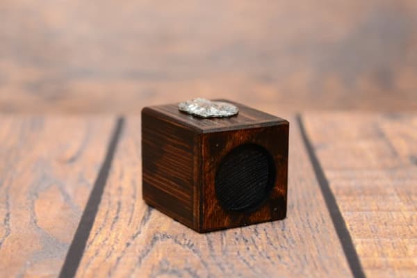 Shar Pei - träljusstake med en hund, en unik souvenir efter förlusten av en hund, hantverk av Art-Dog