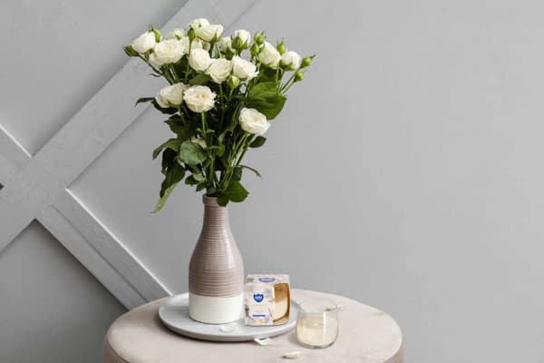 DOFTLJUS SN71-65 KANEL
