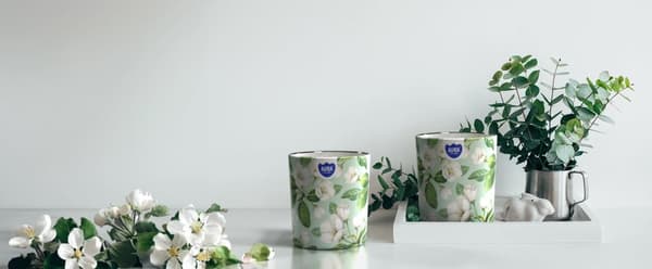 TUOKSUKYNTTILÄ SN72S-59 IRIS-PUNAHERUKKA
