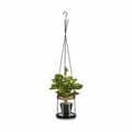 Miniatyrbillede 3 af 3: Lyseholder Ibergarden HW99-1108 Metal Krystal 15,5 x 85,5 x 15,5 cm (12 enheder)