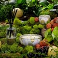Miniatyrbild 3 av 3: Voluspa 3-Wick Candle Decorative Tin Panjore Lychee 340g