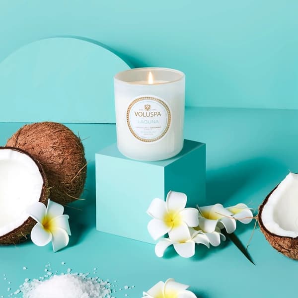 Voluspa Classic Candle Laguna 269g