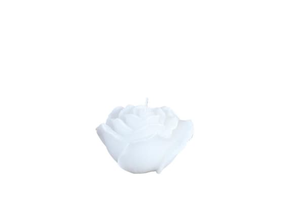 Ljus Ros Vitt Byter färg 10 cm