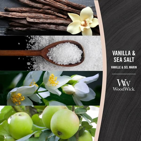 WoodWick Medium - Vanilla & Sea Salt