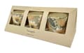 Miniatyrbillede 1 af 2: Doftljus 3-pack Pine Apple Glas