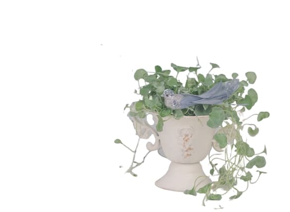 Pokal potte med plastindsats