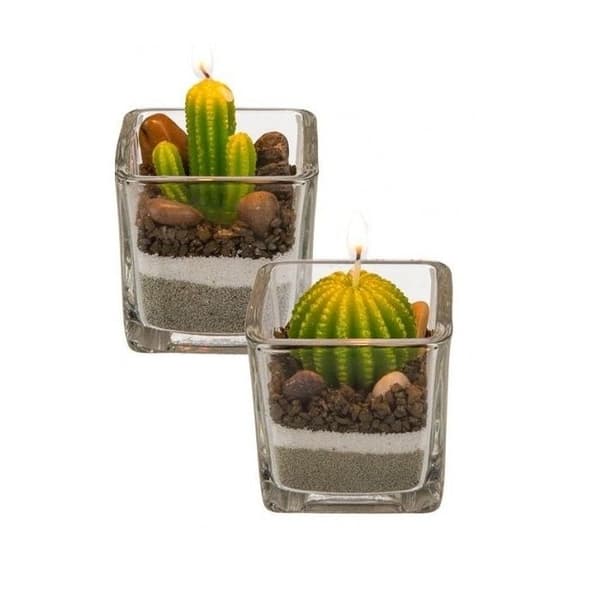 Doftljus - Odefinierad - Kaktus - 2 stycken - Glas - Dekorativa