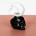 Pikkukuva 3 / 3: Still Life Skull Votive, White - Kosta Boda