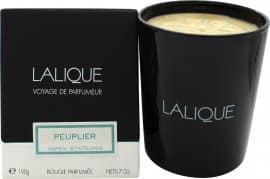Lalique stearinlys 190g - Peuplier Aspen