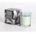 Miniatyrbillede 1 af 3: Duftlys i glas NATURE GREEN H9,5cm, Southern Night