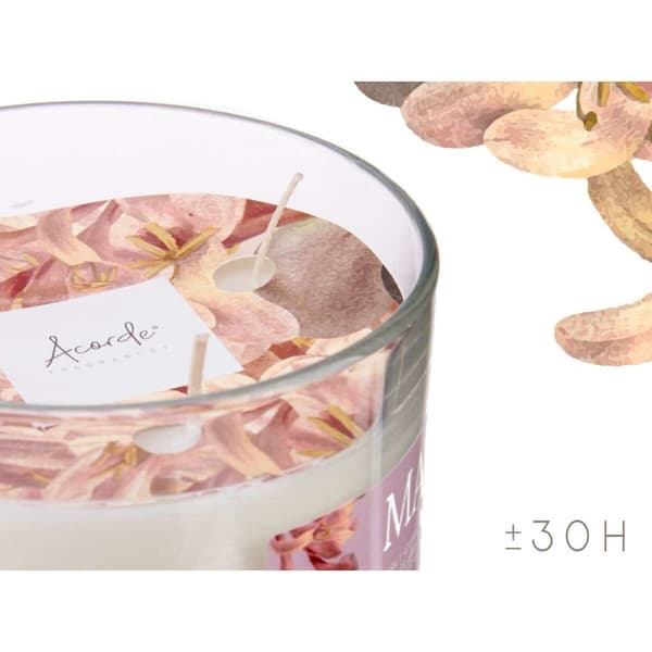 Doftljus Acorde Maylu 400 g (6 antal)