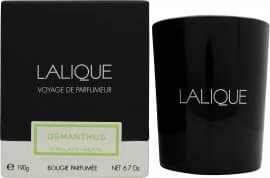 Lalique stearinlys 190g - Osmanthus Himalaya