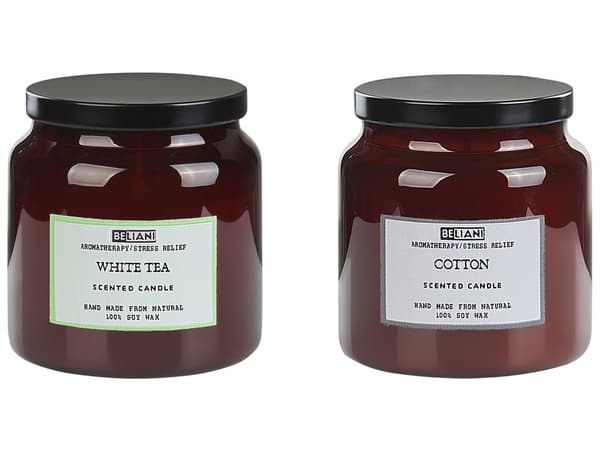 Set med 2 doftljus Flerfärgade 100% sojavax Bomullsveke Glas Mat Fräsch doft vitt te/bomull