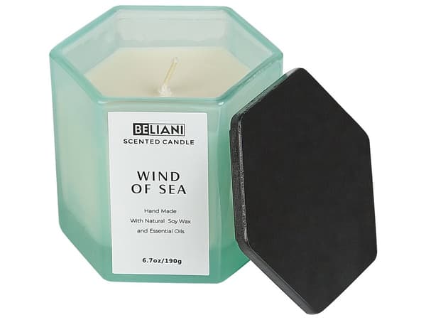 Set med doftljus och doftstav Diffusor Blå 100% Sojavax Bomullsveke Glas Havets friska vind