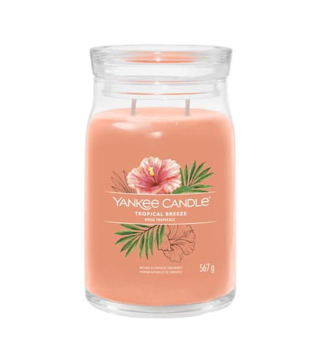 Yankee Candle Tropical Breeze signature candle large 567 g