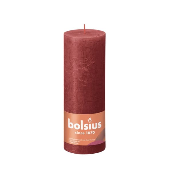 Beaphar rentouttava kaulapanta koirille - 65 cm