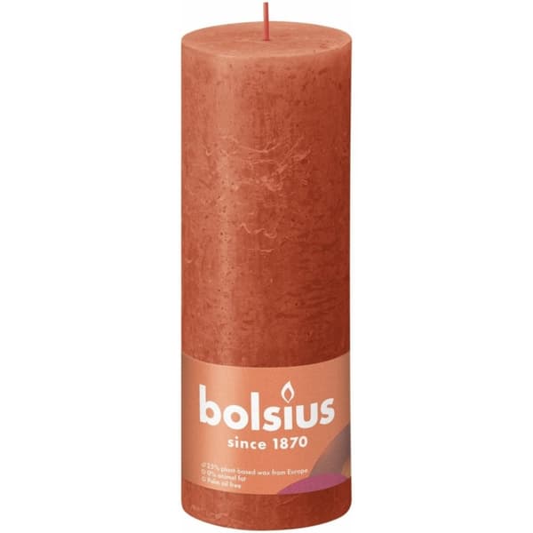 Beaphar rentouttava kaulapanta koirille - 65 cm
