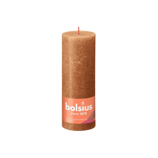 Beaphar rentouttava kaulapanta koirille - 65 cm