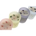Miniatyrbilde 3 av 4: Duftlys Home ESPRIT Urban 200 g (4 enheter)