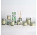 Miniatyrbillede 3 af 3: Duftlys i glas NATURE GREEN H9cm, Evergreen
