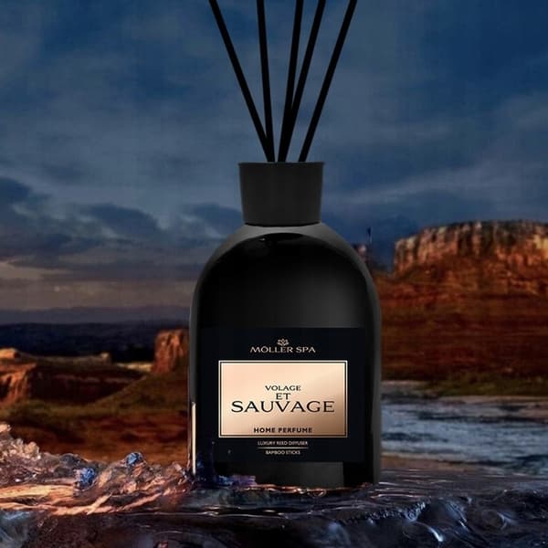 Diffuser til hjemmeparfume duft sauvage op til 90 dage freshener sticks 250ml