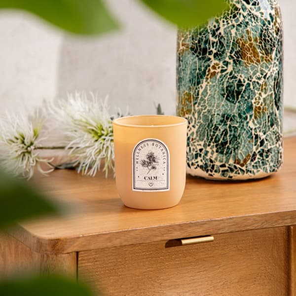 Duftlys | WELLNESS | Rolig | 160G | 721045