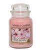 Doftljus - YANKEE CANDLE - Körsbärsblomma - Stor glasburk - 623 g - Inomhus