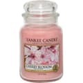 Miniatyrbild 1 av 3: Doftljus - YANKEE CANDLE - Körsbärsblomma - Stor glasburk - 623 g - Inomhus