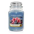 Miniatyrbild 1 av 2: Doftljus - YANKEE CANDLE - Stor burk - Fikon och läckra björnbär - 603g - Inomhus