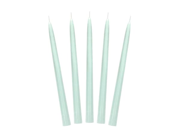 Mat spidslys, salvie, 24 cm (1 pakke / 10 stk.)